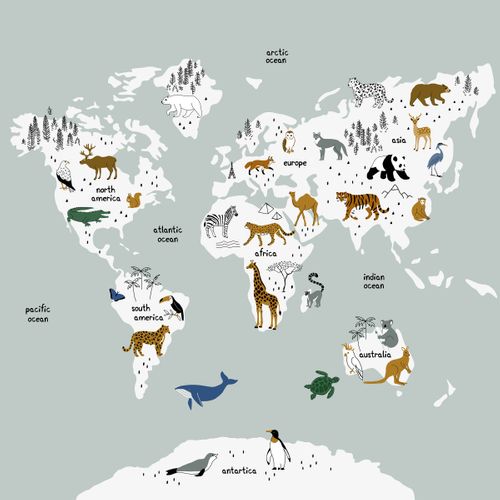 Papier Peint Intissé Panoramique Carte Du Monde