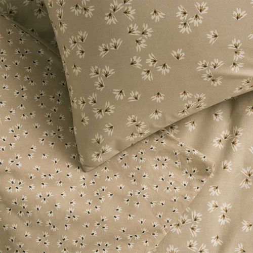 Parure En Coton Beige Sable 240x260
