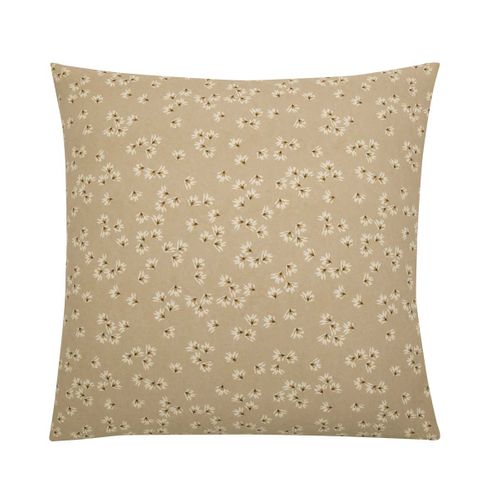 Parure En Coton Beige Sable 240x260