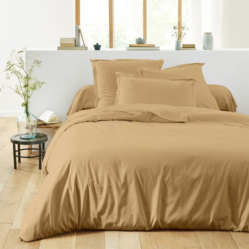 Drap Plat En Coton Biscuit 270x300