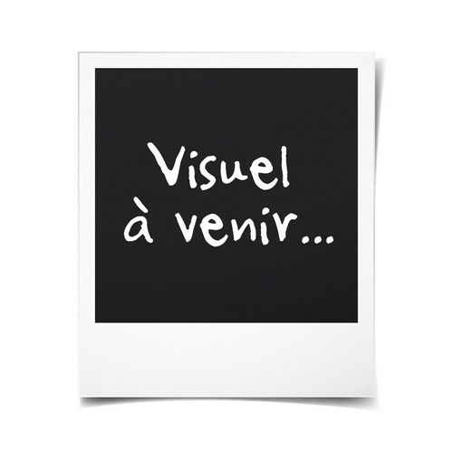 Moule à Génoise Silicone 46x26cm - J4173214