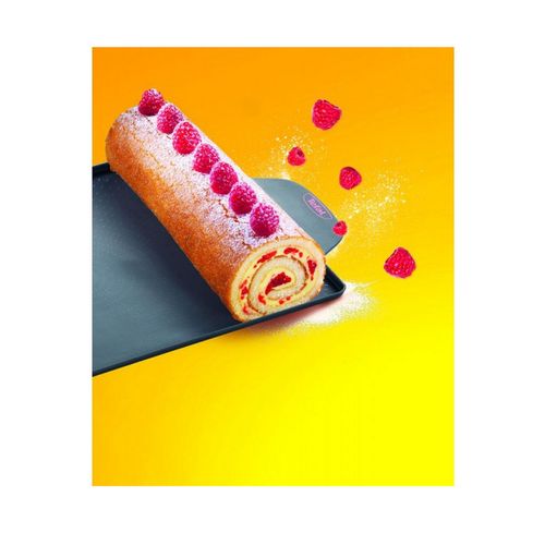 Moule à Génoise Silicone 46x26cm - J4173214