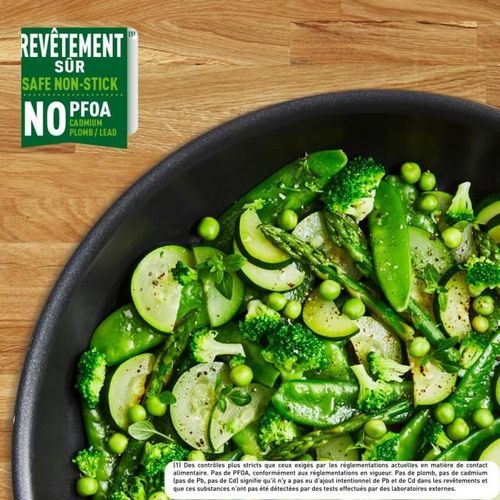 Ingenio Poele 24 Cm, Non Induction, Revetement Antiadhésif, Fabriqué En France, Easy Plus L150