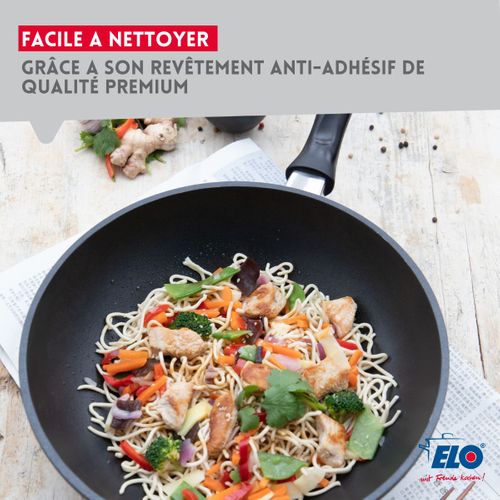 Poêle à Frire 28 Cm Et Couvercle En Verre Sans Pfas Elo Alucast