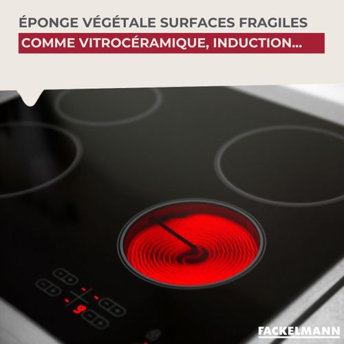 Éponge Végétale Multi-surfaces Fragiles Tecno