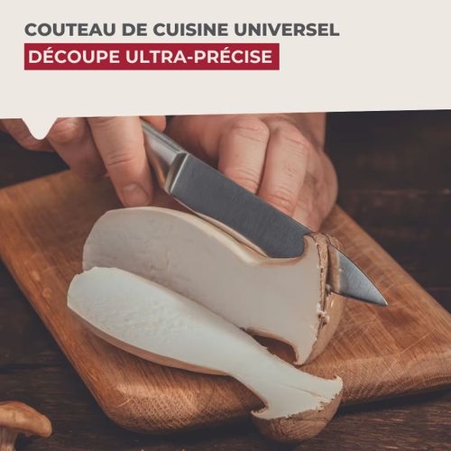 Ensemble De 6 Couteaux De Cuisine Universel 24 Cm En Tout Star