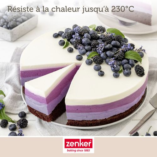 Ensemble De 2 Moules à Manqué à Charnière En Acier 28 Cm Energy