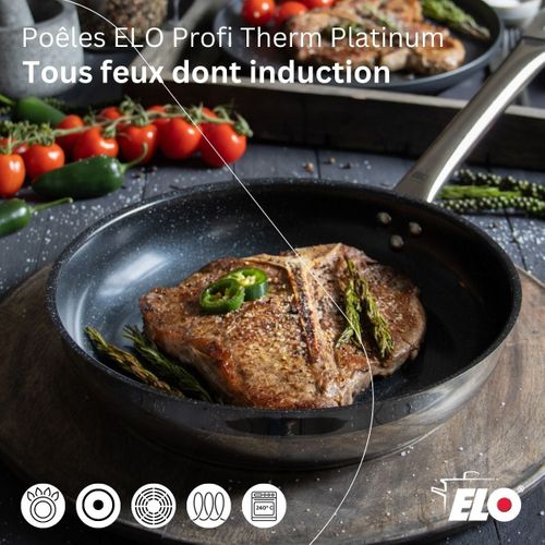 Lot Poêle 24cm et Faitouts 12/14/16/20/24cm Elo Profi Therm Platinum