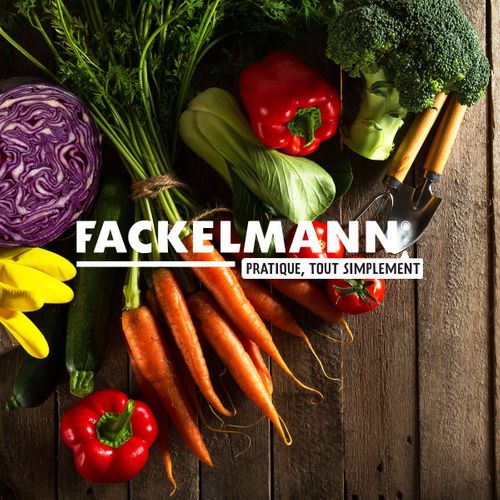 Lot De 2 Boîtes De 250 Rince Doigts Au Citron Fackelmann