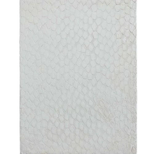 Tapis Salon à Relief Blanc Extra-doux 120x160