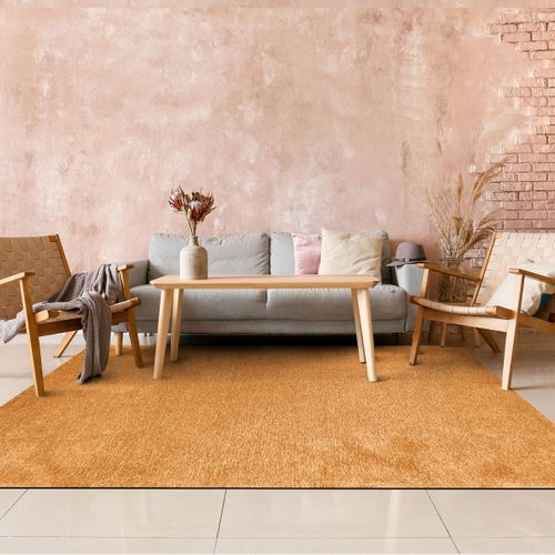 Tapis Salon Lumineux Ocre 160x230