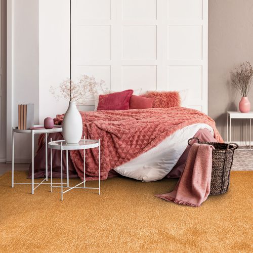 Tapis Salon Lumineux Ocre 160x230