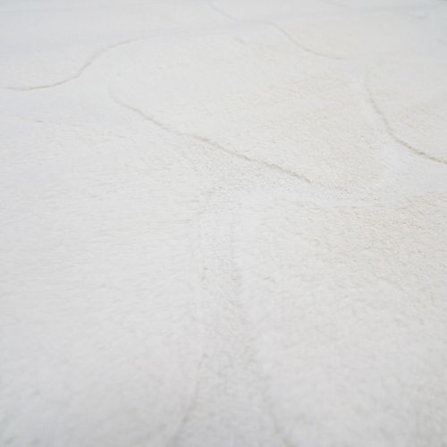 Tapis Salon à Relief Blanc Extra-doux 190x290