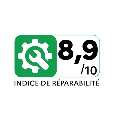 Aspirateur Traineau Green force max 900w 79db Noir/orange - Ro4934ea