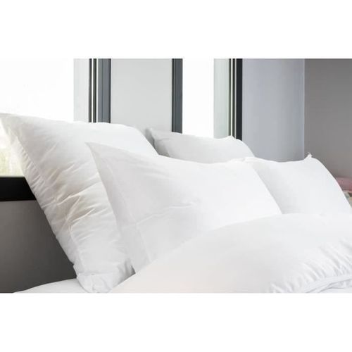 Lot De 4 Oreillers - Finition Bourdon Apparent - 60 X 60 Cm