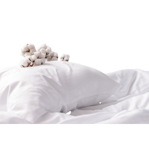 Oreiller Blanc Coton Moelleux 60x60 - 3952
