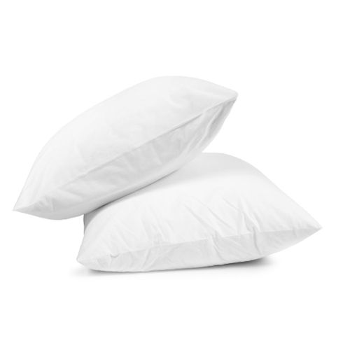 Lot De 2 Oreillers Microfibre - 60 X 60 - 700grs - Ferme