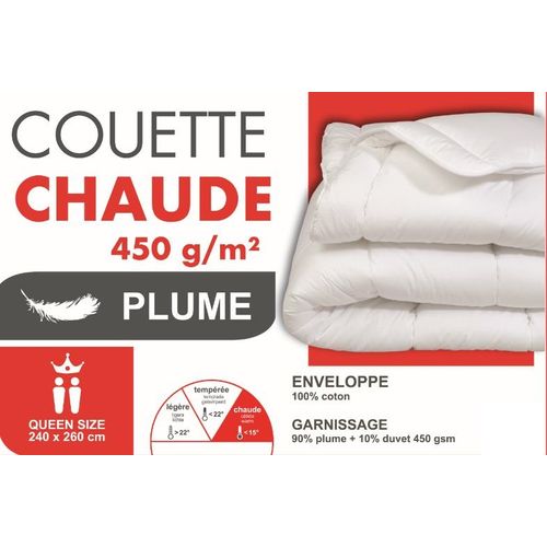 Couette Chaude Blanche Duvet - 2 Personnes 240x260 - Chaude