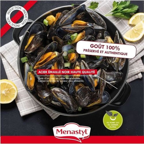 Marmite à Moule - 3645562 - En Acier Émaillé - Noir - 18 Cm - 2,7 Litres - Tous Feux Dont Induction