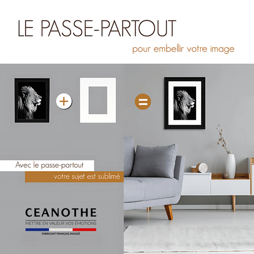 Passe-partout Double Beige 24x30 Cm Ouverture 15x20 Cm Beige
