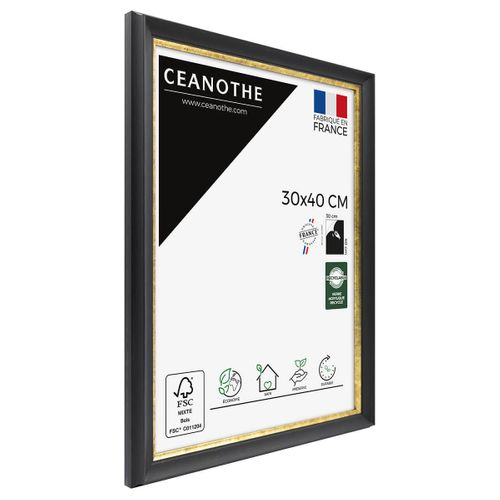 Cadre Photo Pandore Noir Doré 30x40 Cm Doré Résine Recyclée