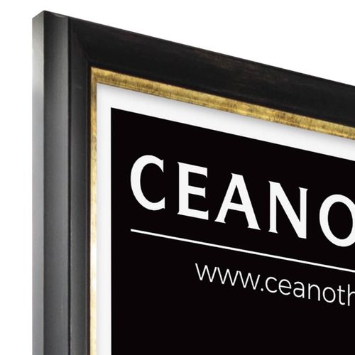 Cadre Photo Pandore Noir Doré 50x70 Cm Doré Résine Recyclée