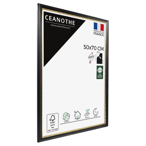 Cadre Photo Pandore Noir Doré 50x70 Cm Doré Résine Recyclée