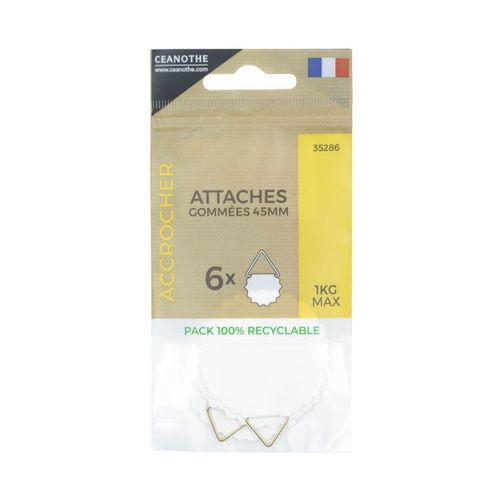 Lot De 6 Attaches Gommées 45 Mm Ceanothe Pour 1 Kg Blanc