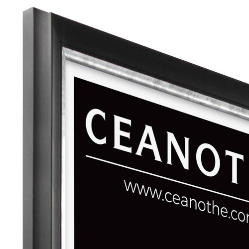 Cadre Photo Pandore Noir Argent 50x70 Cm Argent Résine Recyclée