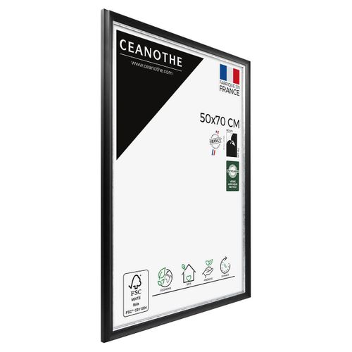 Cadre Photo Pandore Noir Argent 50x70 Cm Argent Résine Recyclée