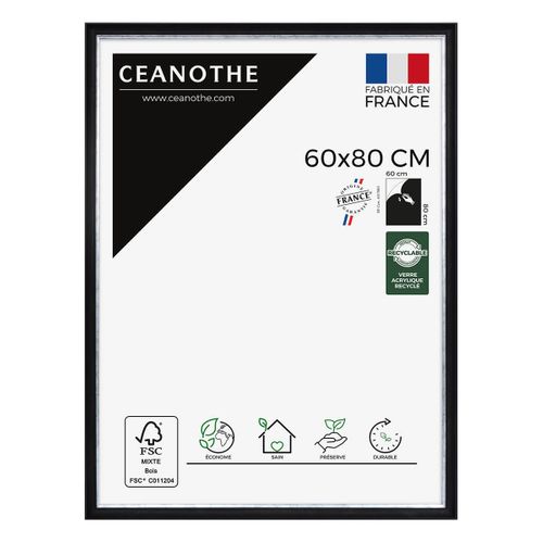 Cadre Photo Pandore Noir Argent 60x80 Cm Argent Résine Recyclée