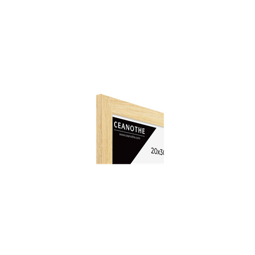 Cadre  Cadre 20x30 A4 Eternel Naturel