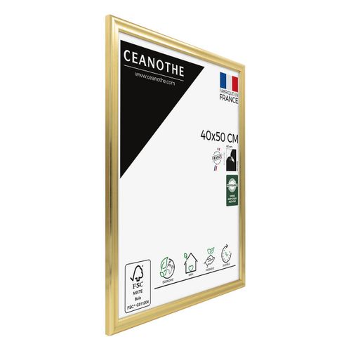 Cadre Photo Julia Doré 40x50 Cm Doré Résine Recyclée