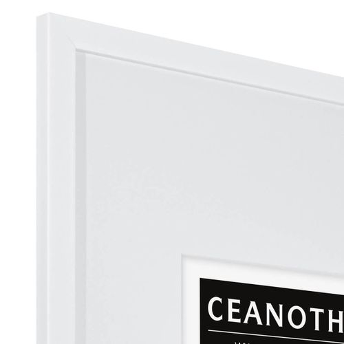 Cadre Photo Wild Blanc 60x80 Cm Avec Passe-partout 40x50 Cm Blanc Résine Recyclée