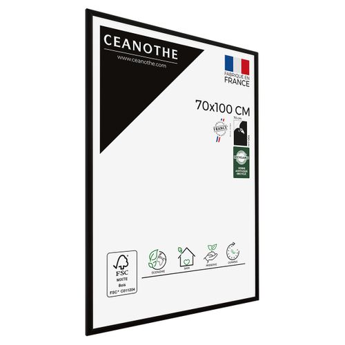 Cadre Photo Essentiel Exposition Noir 70x100 Cm Noir Bois Massif Fsc