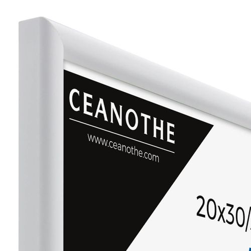 Cadre Photo Essentiel Exposition Blanc 20x30 Cm/a4 Blanc Bois Massif Fsc