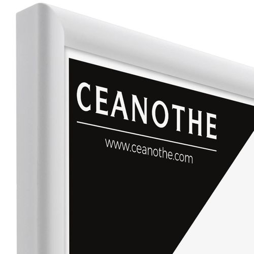 Cadre Photo Essentiel Exposition Blanc 24x30 Cm Blanc Bois Massif Fsc