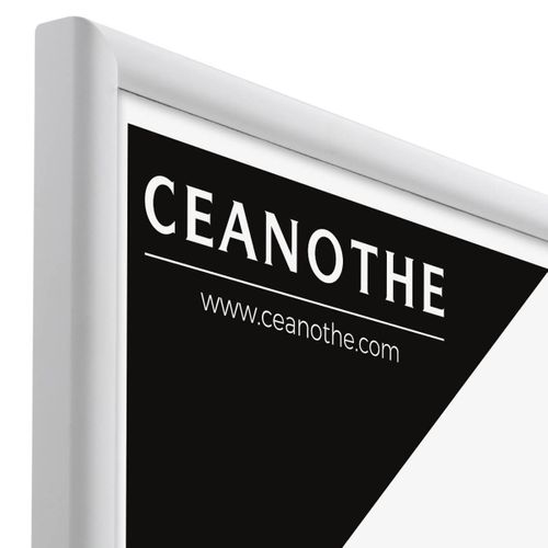 Cadre Photo Essentiel Exposition Blanc 30x40 Cm Blanc Bois Massif Fsc