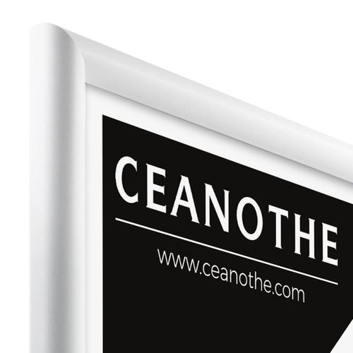 Cadre Photo Essentiel Exposition Blanc 40x50 Cm Blanc Bois Massif Fsc