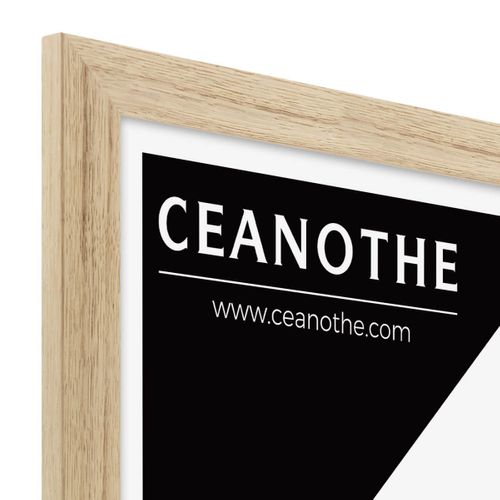 Cadre Photo  Tara 40x50 Cm Bois Brut Chêne