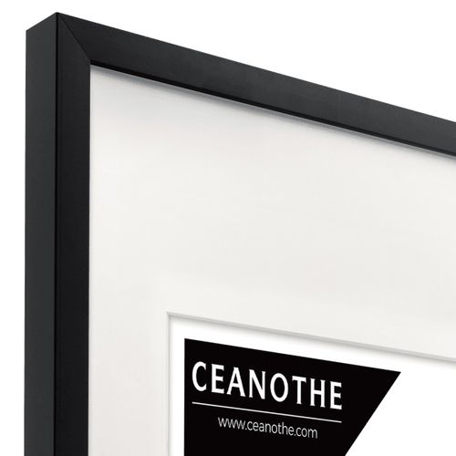 Cadre Photo Milan Noir 40x60 Cm Avec Passe-partout Noir Bois Reconstitué Fsc
