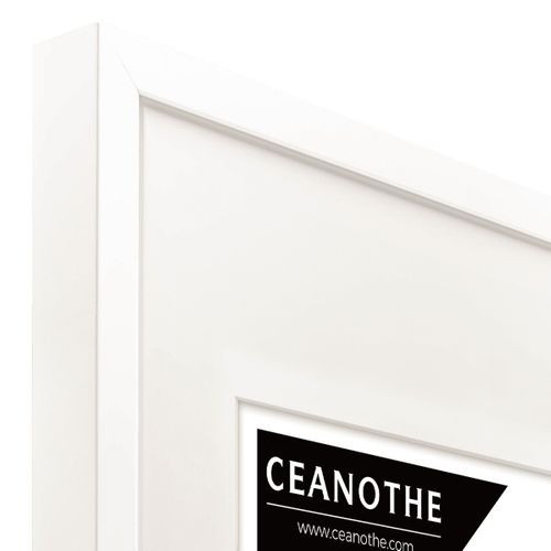 Cadre Photo Milan Blanc 40x60 Cm Avec Passe-partout Blanc Bois Reconstitué Fsc