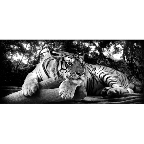 Tableau Sur Verre Synthétique Tigre à L'affût 65x145 Cm