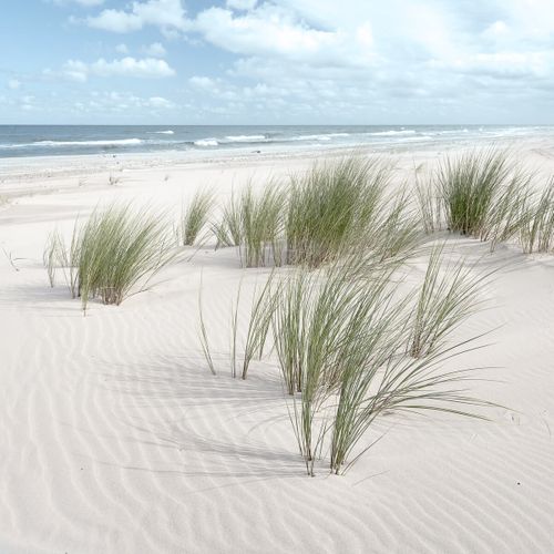 Tableau Sur Toile Sandy Beach Vent 45x45 Cm