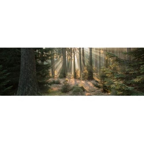 Tableau Sur Toile Forêt Enchantée 45x135 Cm