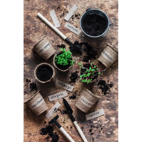 Tableau Sur Verre Aromates 45x65 Cm