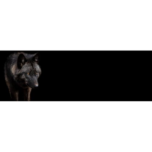 Tableau Sur Toile Loup Noir 30x97 Cm
