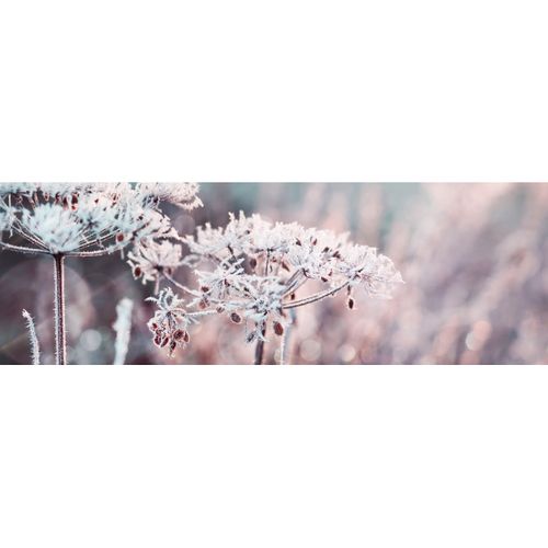 Tableau Sur Toile Fleur Enneigée 30x97 Cm