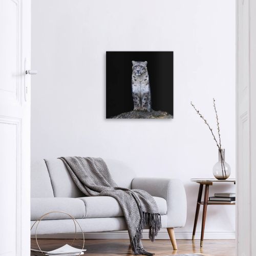 Tableau Sur Toile Puma Noir Et Blanc 45x45 Cm