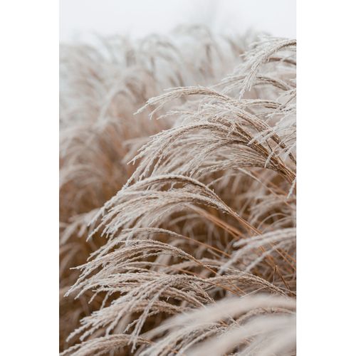 Tableau Sur Toile Champ Gelé 65x97 Cm